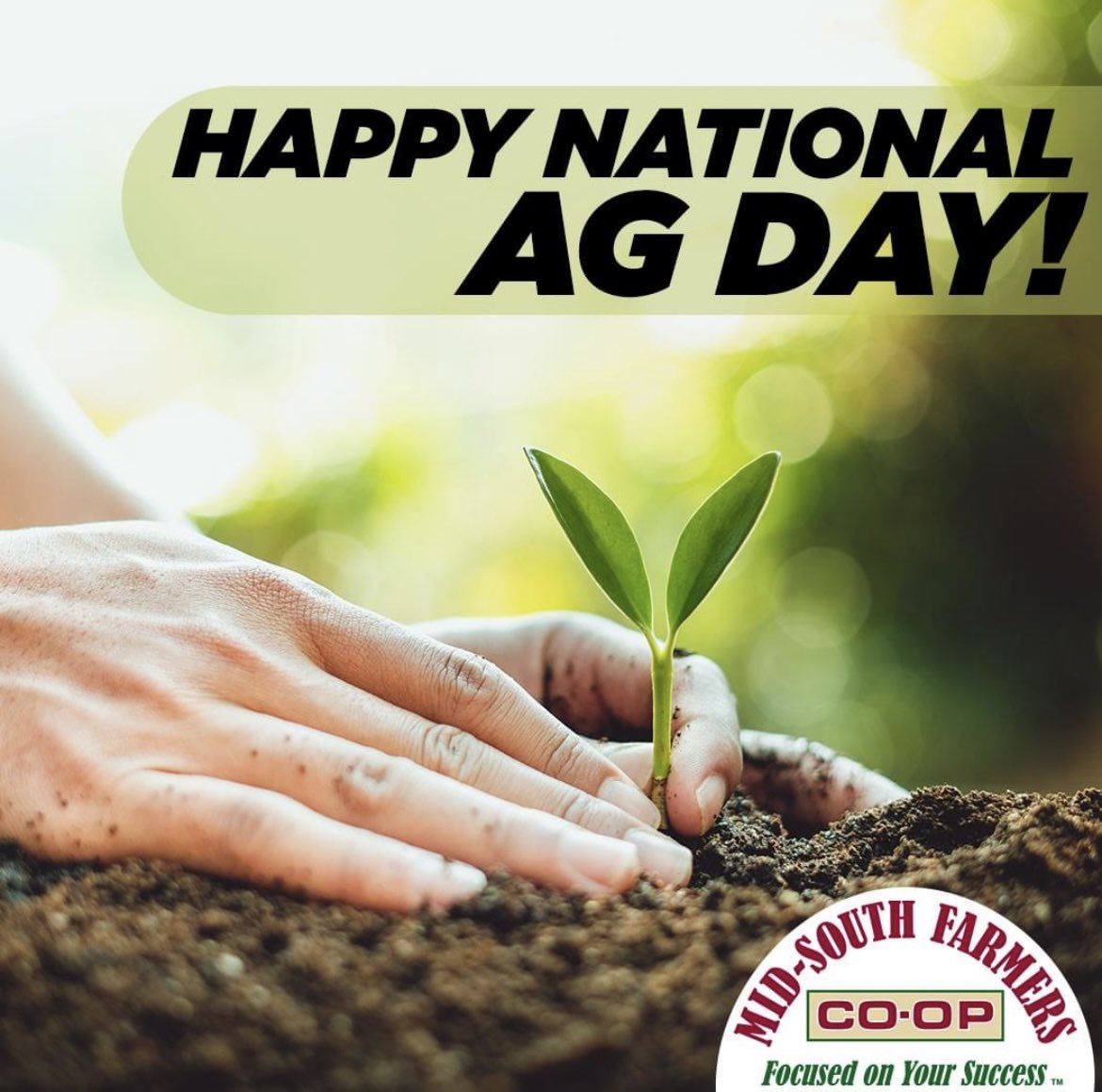 msfc_ag's tweet photo. Happy National Ag Day from your friends at Mid-South Farmers Co-op! https://t.co/jXSEKlCG1m