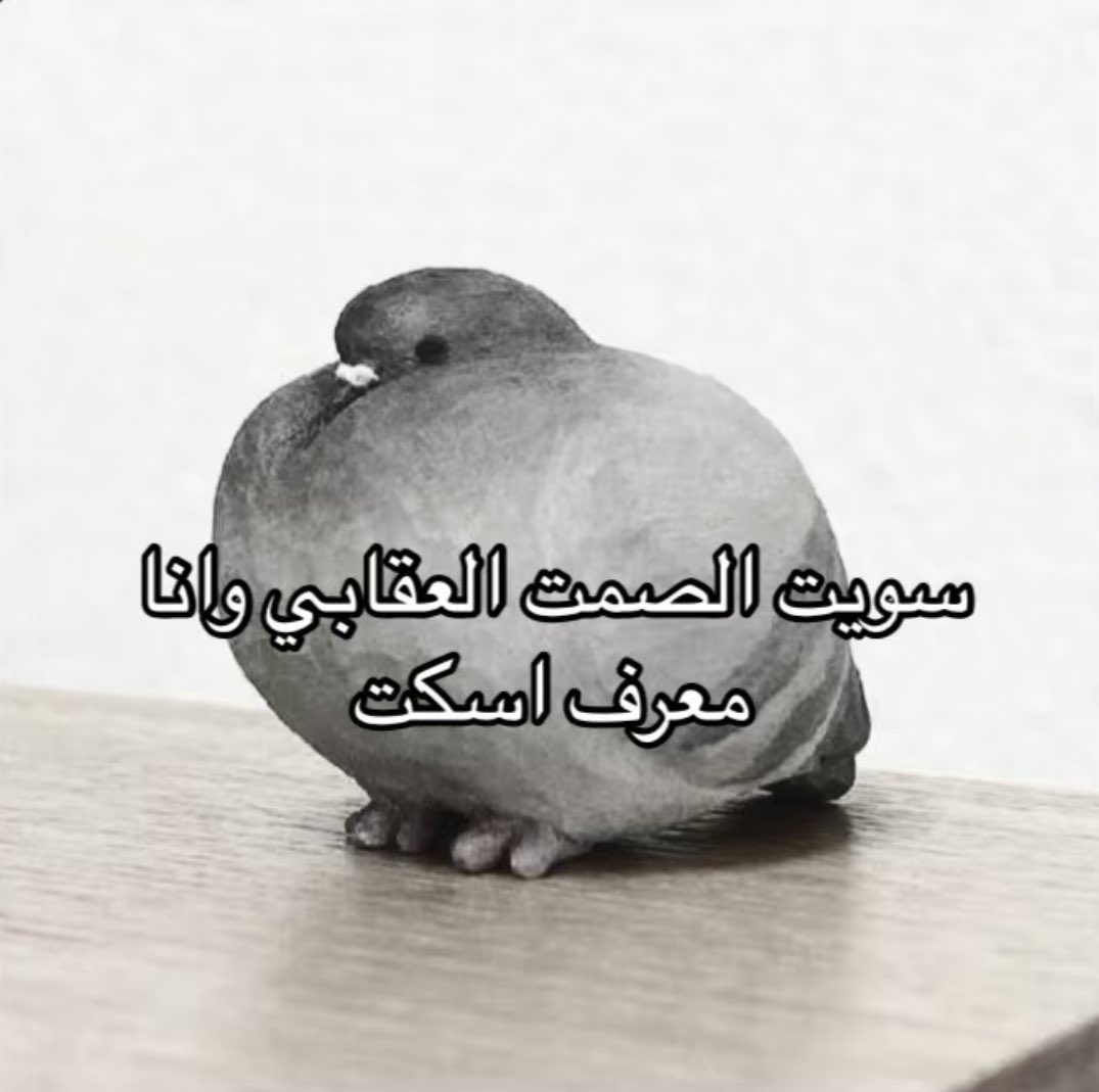 ضـي (@5i1li) on Twitter photo 