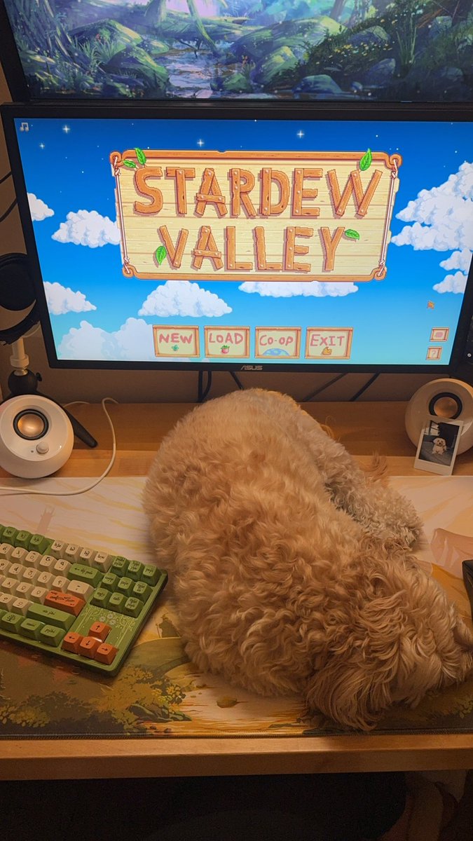 Really, it’s cool. I didn’t want to play the new patch anyways