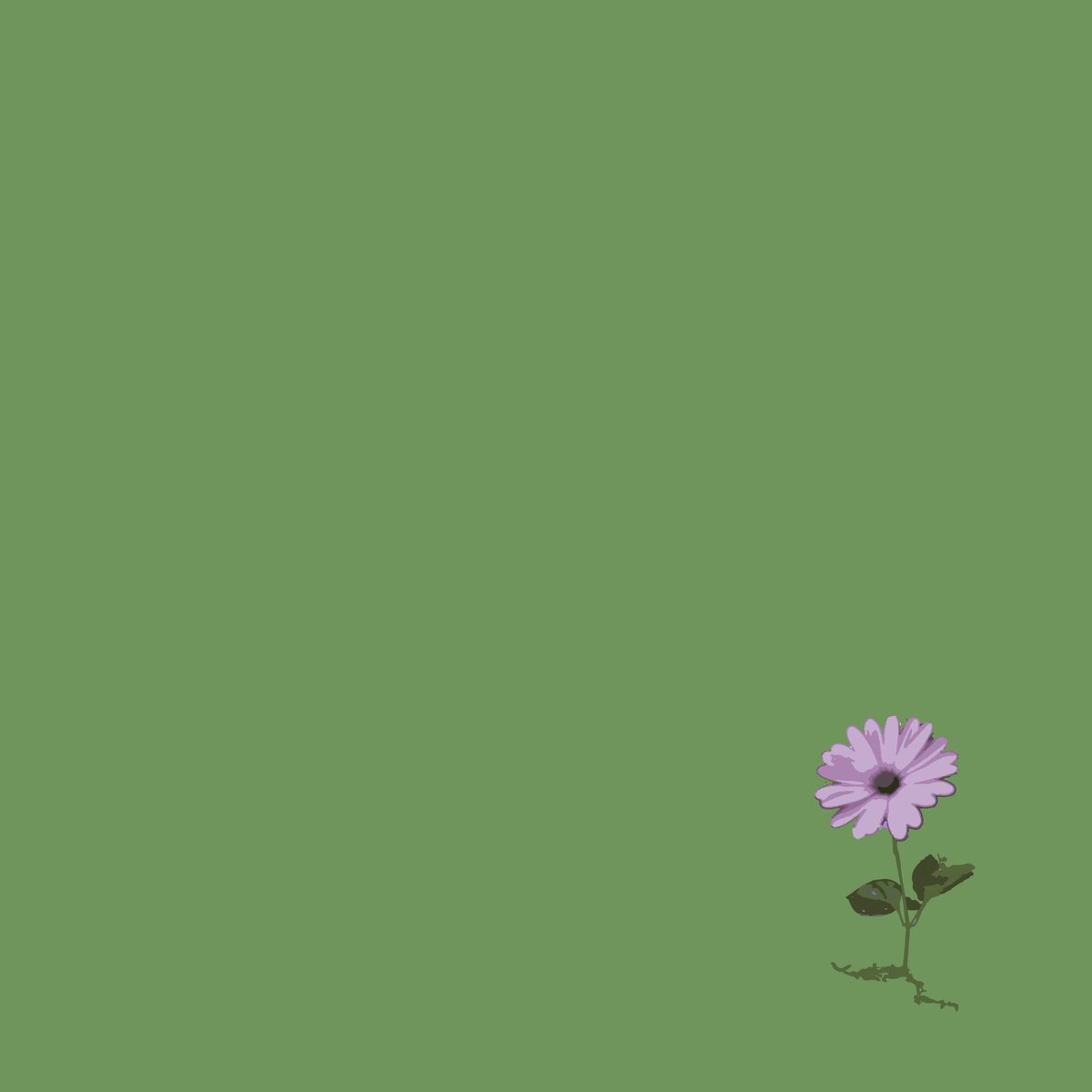 ¡Ya casi florece por completo lo nuevo del Mar! 🪷🔥🌊🥃