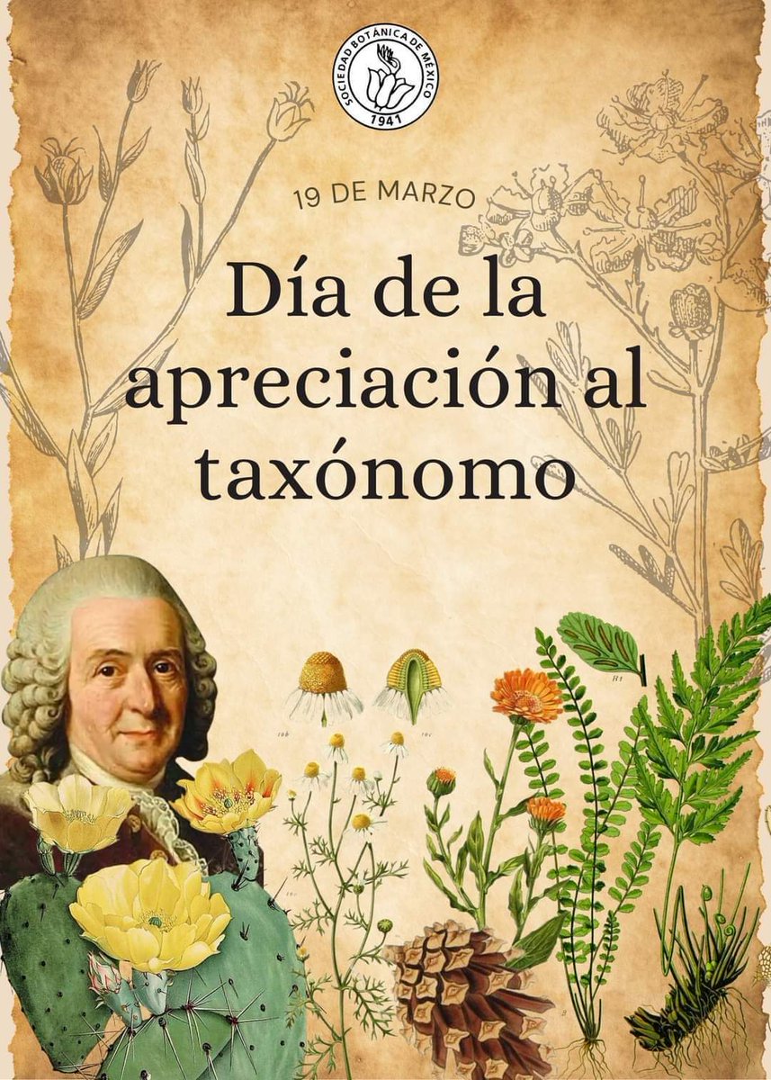 rojasrunjaic's tweet photo. ¡Feliz día de apreciación al taxónomo! #TaxonomistAppreciationDay https://t.co/J6hPMMbHME