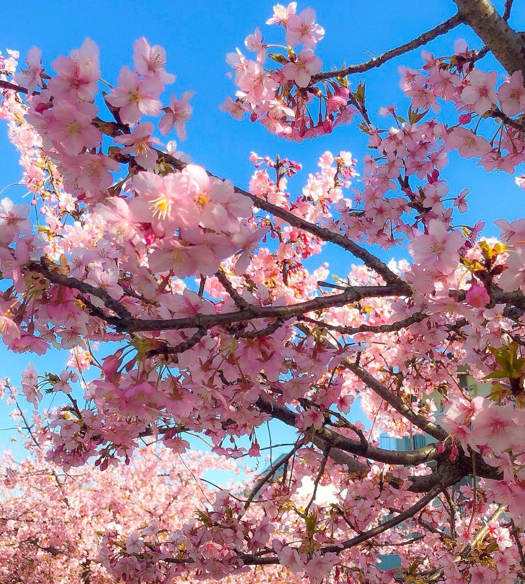 約3年ぶりの投稿👀お久しぶりです！

数年で色々なキャリア経験しました
100％言えるのは昔とは人生180度変わったこと。

きっかけは『Web制作の独学』

人生変えられることを経験を持って証明できるので、また発信など再開しようと思います。

キャリアなどはまた追々お話します

ただいまです…！🙇