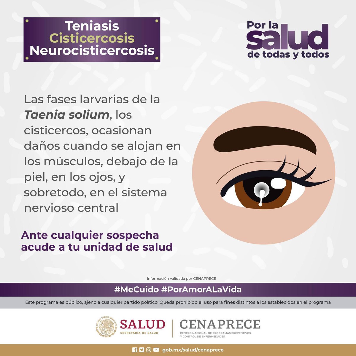 SSalud_mx's tweet photo. #PorLaSaludDeTodasYTodos I #Teniasis #Cisticercosis #Neurocisticercosis 🩺
¿Sabías qué?
Los cisticercos se pueden alojar en el cerebro, los ojos, los músculos, la piel o el corazón.
Ante cualquier sospecha acude a tu unidad de salud
Conoce más en ➡ https://t.co/kKPluDzhZ1
#MeCuido #PorAmorALaVida
