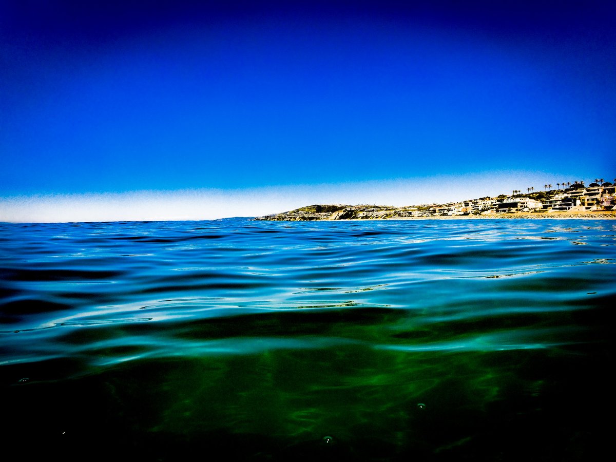 The Best Day of Winter - danastrandswimreport.com/report/the-bes…