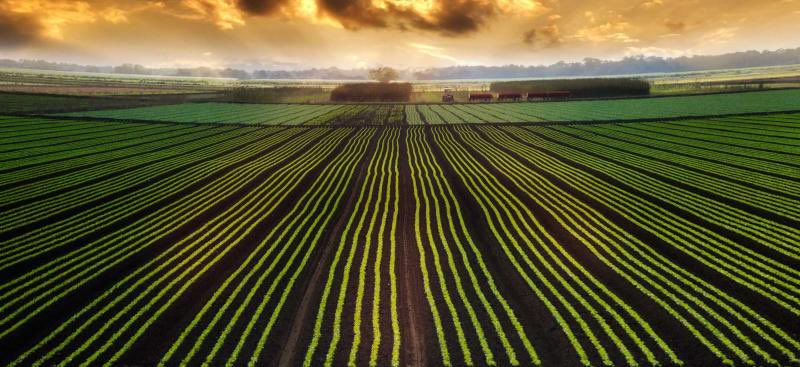 Today, we thank a farmer for all that they do to put food on our tables. Happy National Ag Day! 🍊🍓🐄🐂 #NationalAgDay #ThankAFarmer