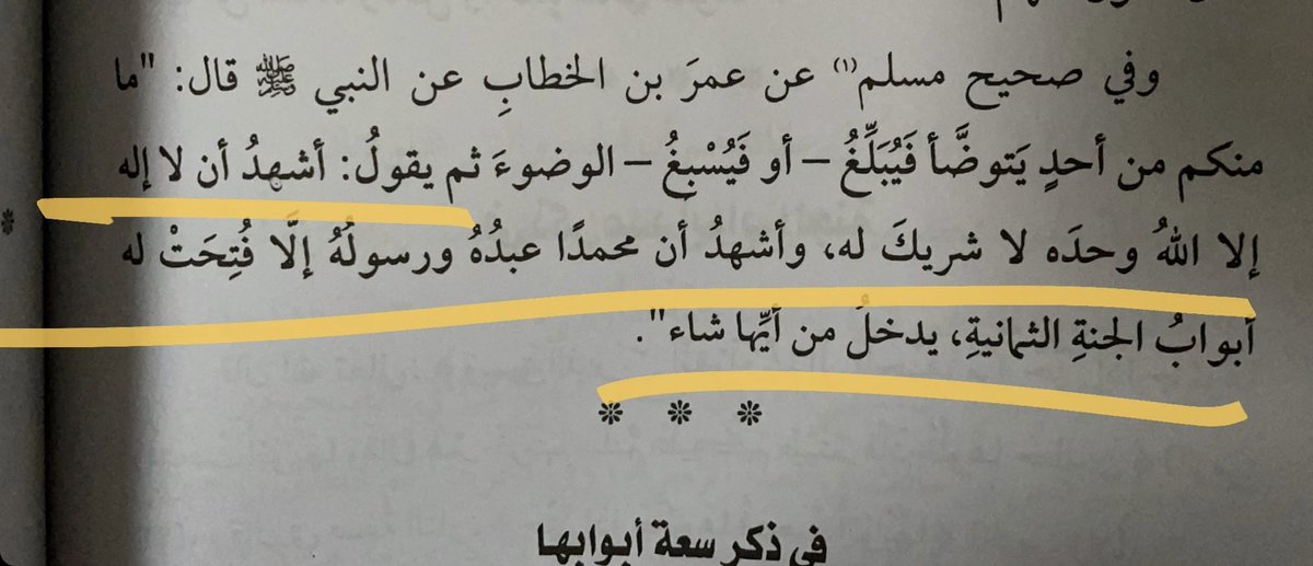 رينا tweet media