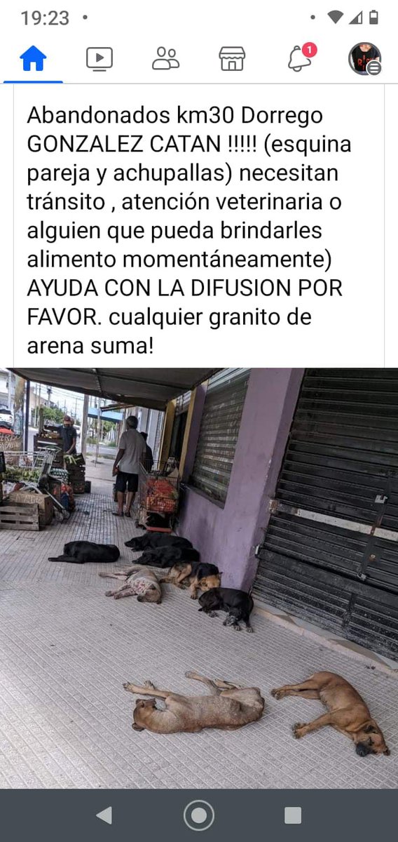 TRANSITO-G CATAN  KM 30 Dorrego entre Parejas y Achupallas:<a href="/MarianoOses/">Mariano Osés Martelli</a> <a href="/JMilei/">Javier Milei</a> <a href="/RefugioFeliz/">Refugio Feliz</a> <a href="/patitasalrescue/">Patitas Al Rescate</a> <a href="/soyleomontero/">Leo Montero</a> <a href="/elcampito/">El Campito Refugio</a>