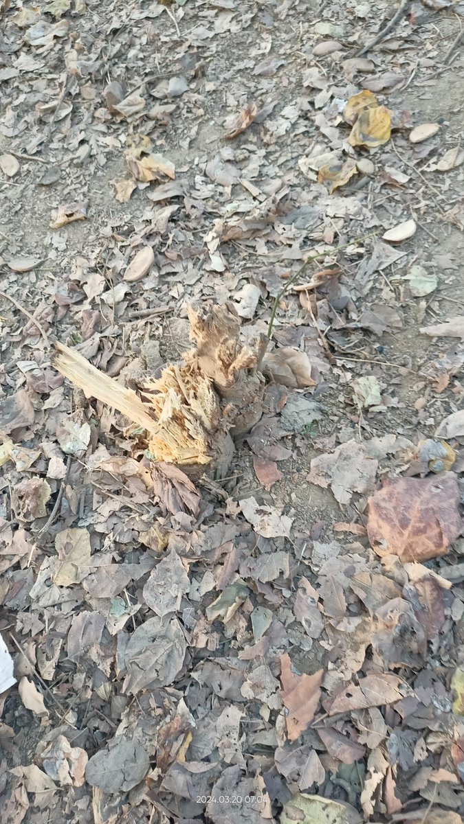 RWA F पॉकेट इंद्रप्रस्थ योजना, गाज़ियाबाद tweet media