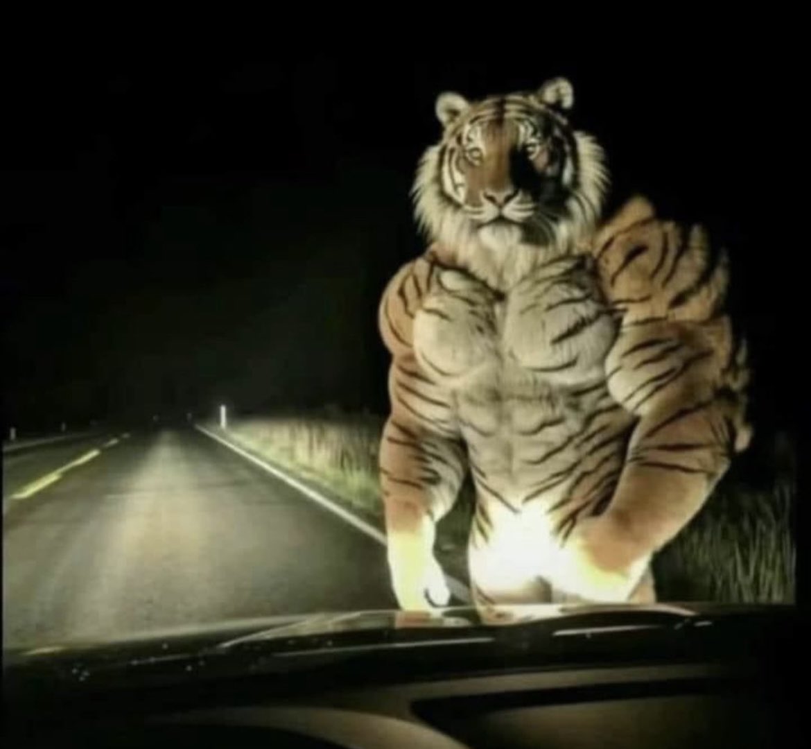 ElAlek__'s tweet photo. Así es como luce un fan de ElAlek (Mio) 🐅🐅🗣️🗣️😍😍🥰😘🥰 https://t.co/0jLVS6LP3s