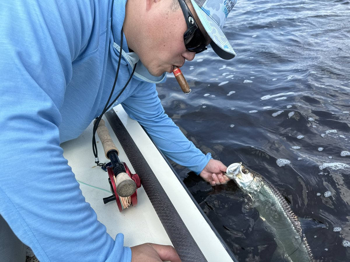 Tarpon on fly! #inshorefishingjupiter #tarponfishing #flyfishing #fishing