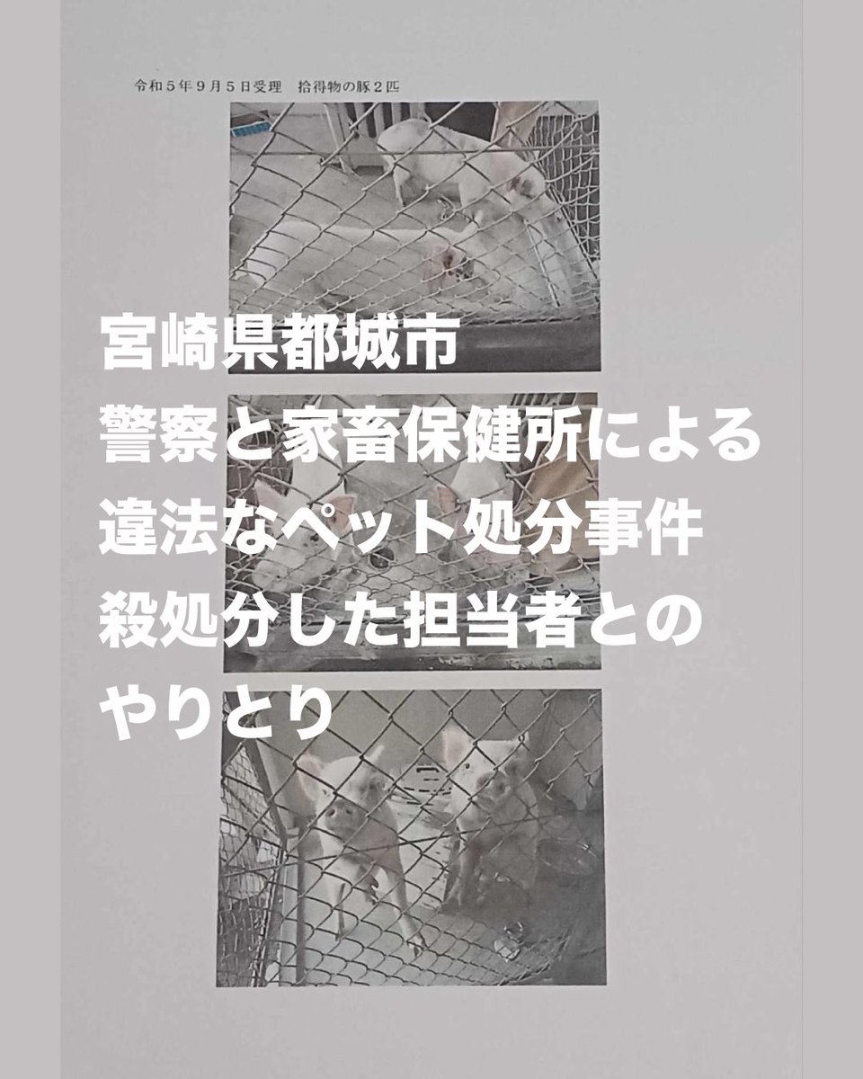 miii_hooh's tweet photo. これは、あまりにも酷い😭　
警察と保健所による違法な殺処分で、何が行われたのか。
　
飼い主さんの気持ちを考えると、胸が張り裂けそう😢(1/4) https://t.co/DFg07Jyn9e
