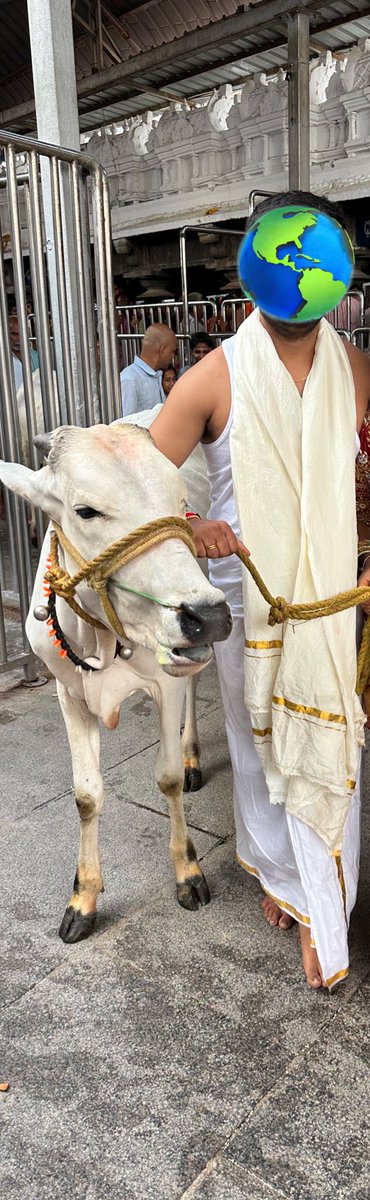 SrikanthBairu's tweet photo. Here is my #PancheTwitter at Sri Vemulawada RajaRajeshwara Swamy Devastanam https://t.co/8R6sSV5ydK