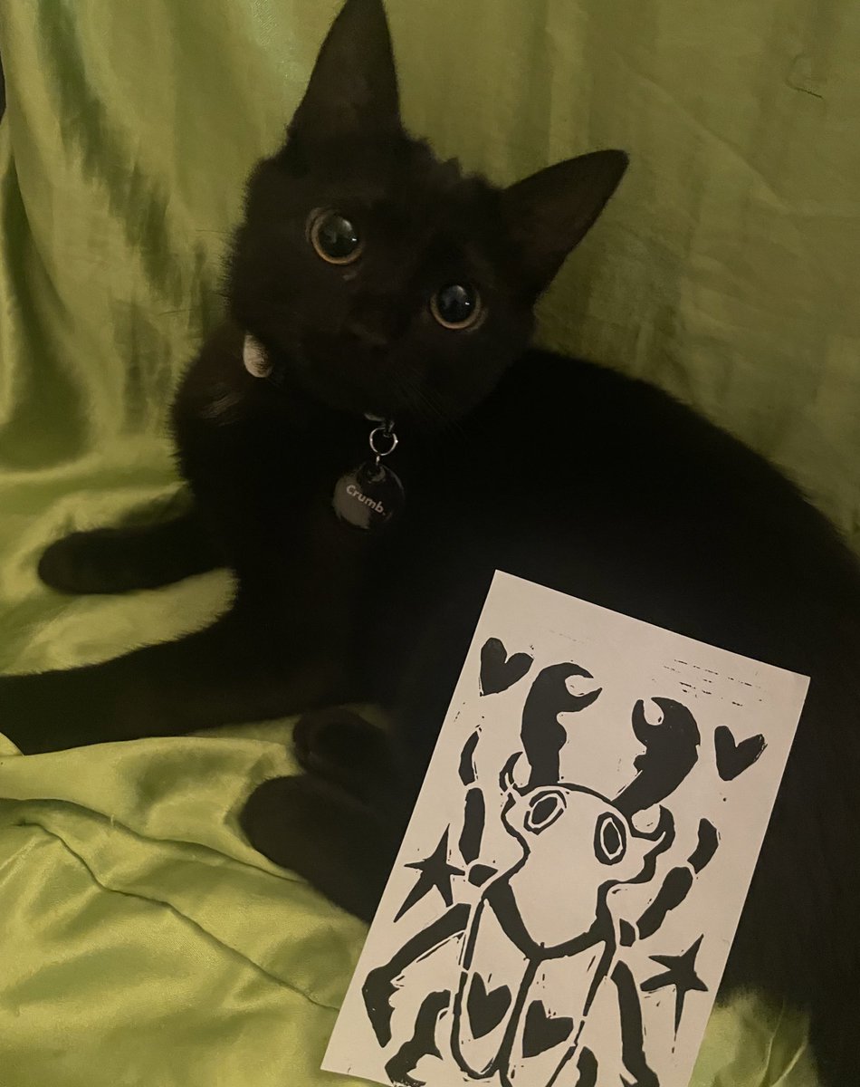 bugheadprints's tweet image. My lovely kitty Bug posing with my bug print 🖤🪲⚡️
Etsy in bio 
-
-
-
#beetle #print #artprint #printmaking #etsy #cat #kitten #linoleum #carving