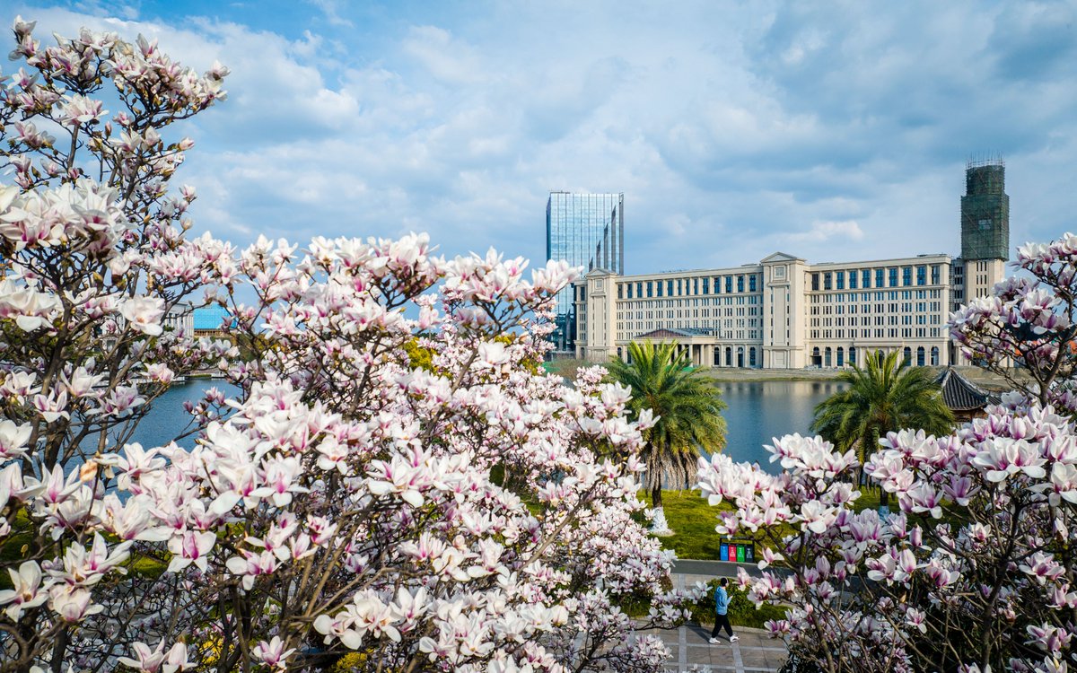 UESTC-电子科技大学 tweet media