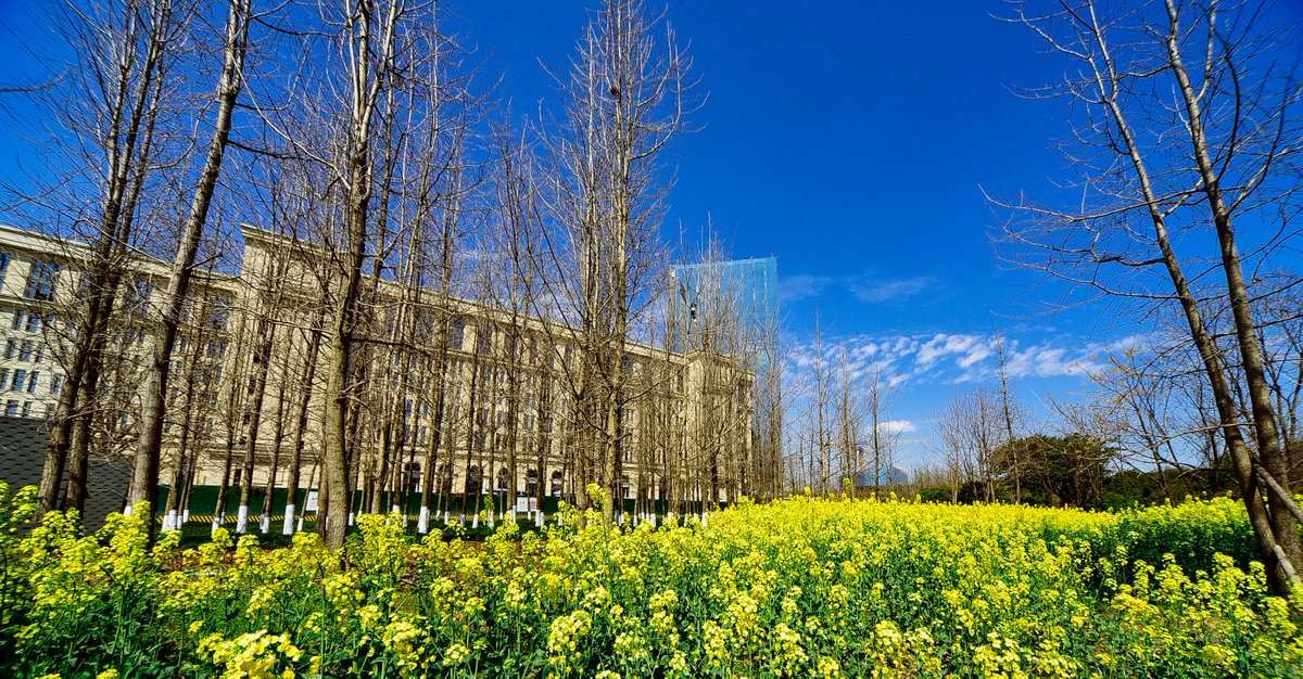 UESTC-电子科技大学 tweet media