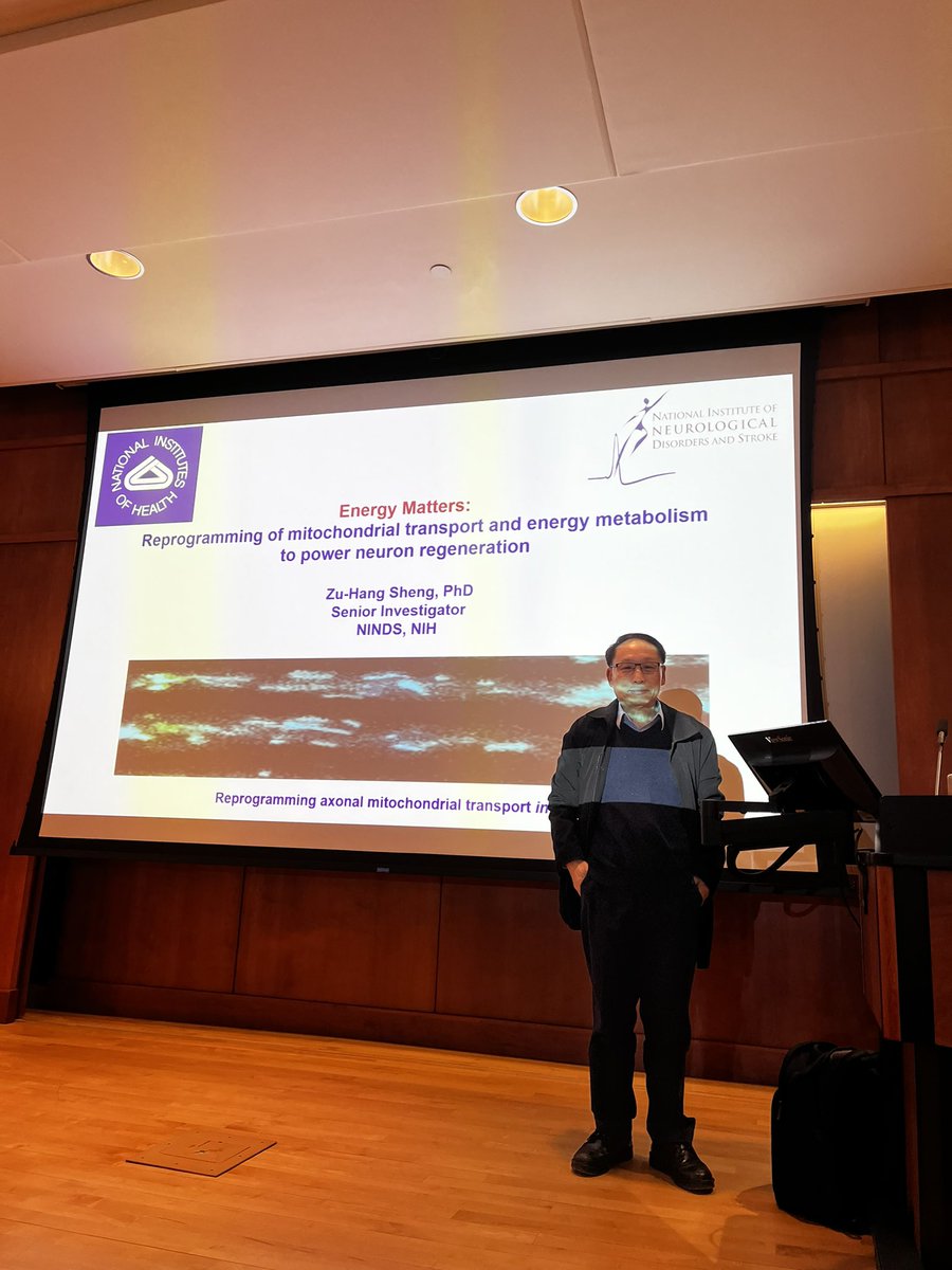 Juan Song (@songlaboratory) on Twitter photo My great pleasure to host Dr. Zuhang Sheng <a href="/zuhangsheng/">Zu-Hang Sheng</a> from NIH for an inspiring seminar on mitochondrial reprogramming and energy metabolism for neuroregeneration <a href="/UNC_PHCO/">UNC Pharmacology</a>. My great pleasure to host Dr. Zuhang Sheng <a href="/zuhangsheng/">Zu-Hang Sheng</a> from NIH for an inspiring seminar on mitochondrial reprogramming and energy metabolism for neuroregeneration <a href="/UNC_PHCO/">UNC Pharmacology</a>.