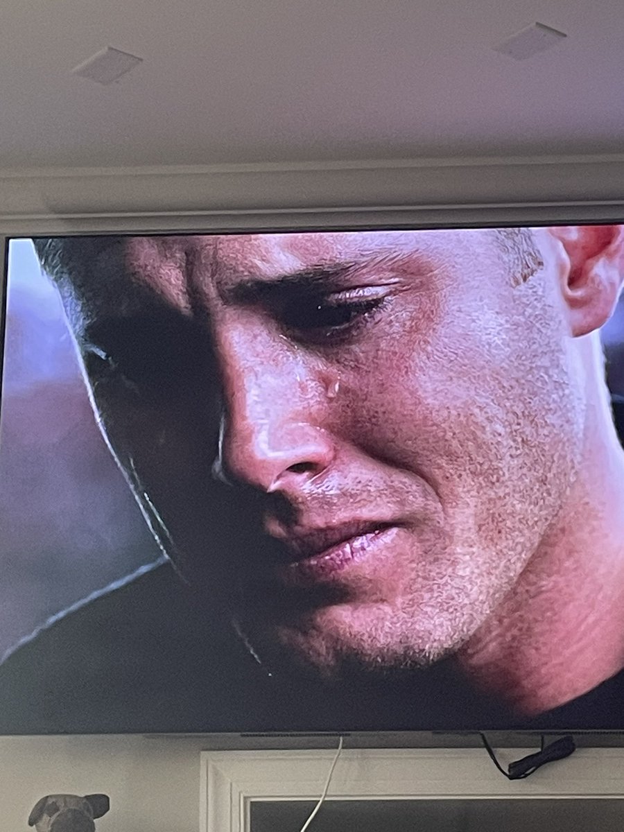 devilishlex's tweet photo. i just wanna wipe his tears ☹️ https://t.co/TVvbJawDCy