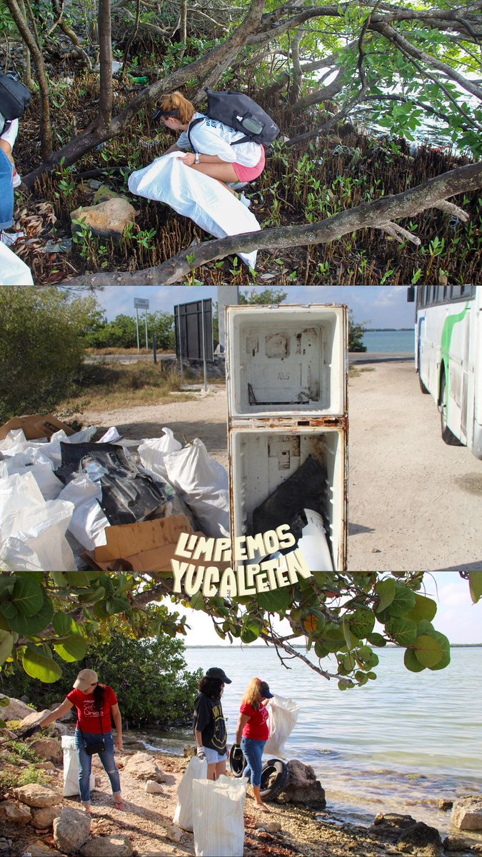 No dejes basura en las playas, una de las acciones que más dañan a la vida marina y los ecosistemas, es dejar desechos en el mar y en las costas
#LimpiemosYucatan