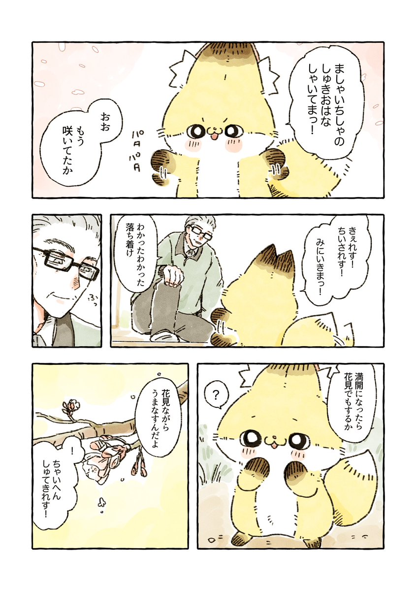 専門ショップ ちくわちゃん♡プロフご一読を! 2点 その他 専門ショップ ちくわちゃん♡プロフご一読を! 2点 その他