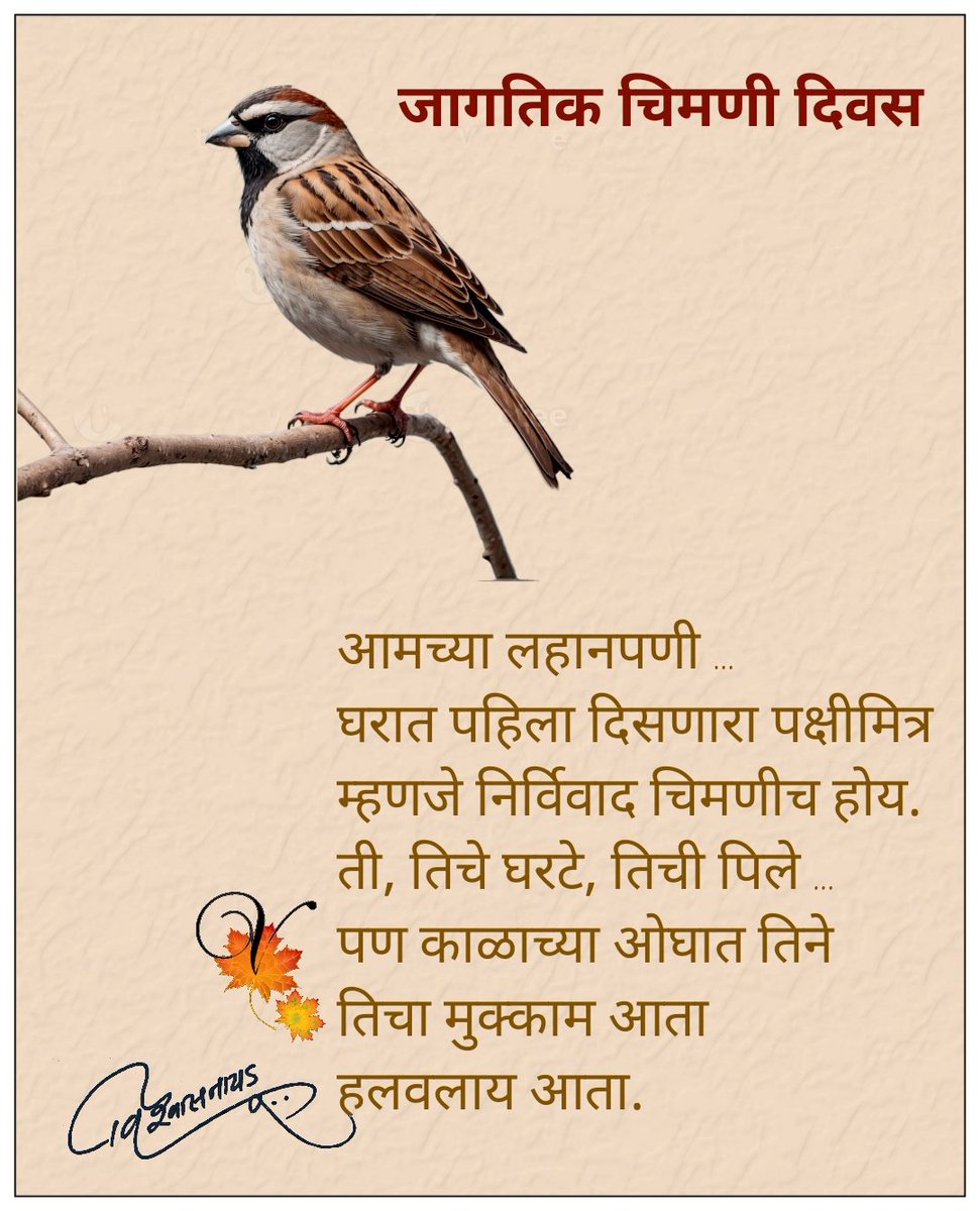 naiduvishwas's tweet photo. #nadbrahma #internationalsparrowday #sparrow https://t.co/6e1eerlvVl