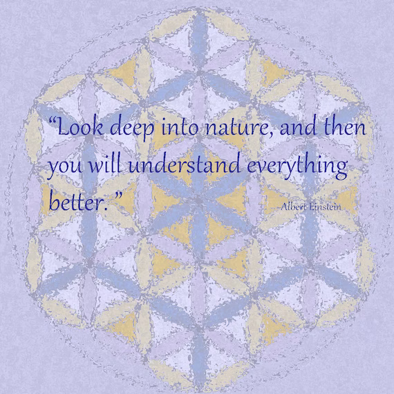 #nature #mothernature #lookdeep #natureconnection #consciousness #3rdeyeopen #higherself #seedoflife #multidimensional #sacredgeometry #kundaliniawakening #ascension #metatronscube  #sacredknowledge #gaia #sacredsymbols #fractal #lightenergy #merkaba #flowerpower #floweroflife