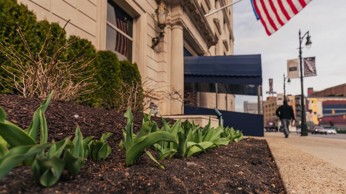 The tulips are pushing up through the soil around the Club. The pussy willow sprays atop interior floral displays. The fresh new color of the doormen's ties. Spring, welcome back to Detroit and the DAC!