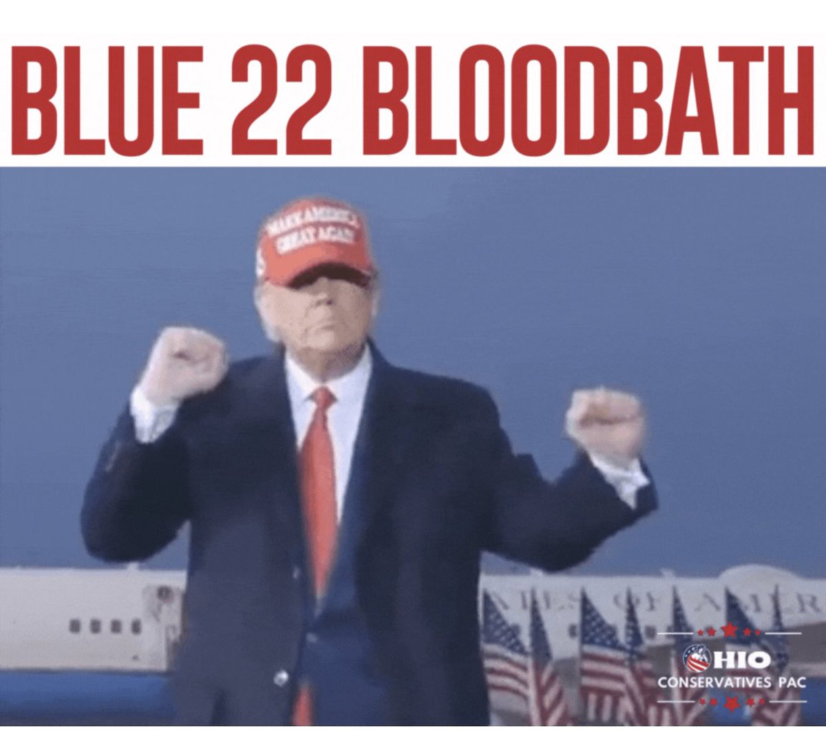 OhioCPAC's tweet image. The Blue 22 is now the Blue 13. BLOODBATH!!!