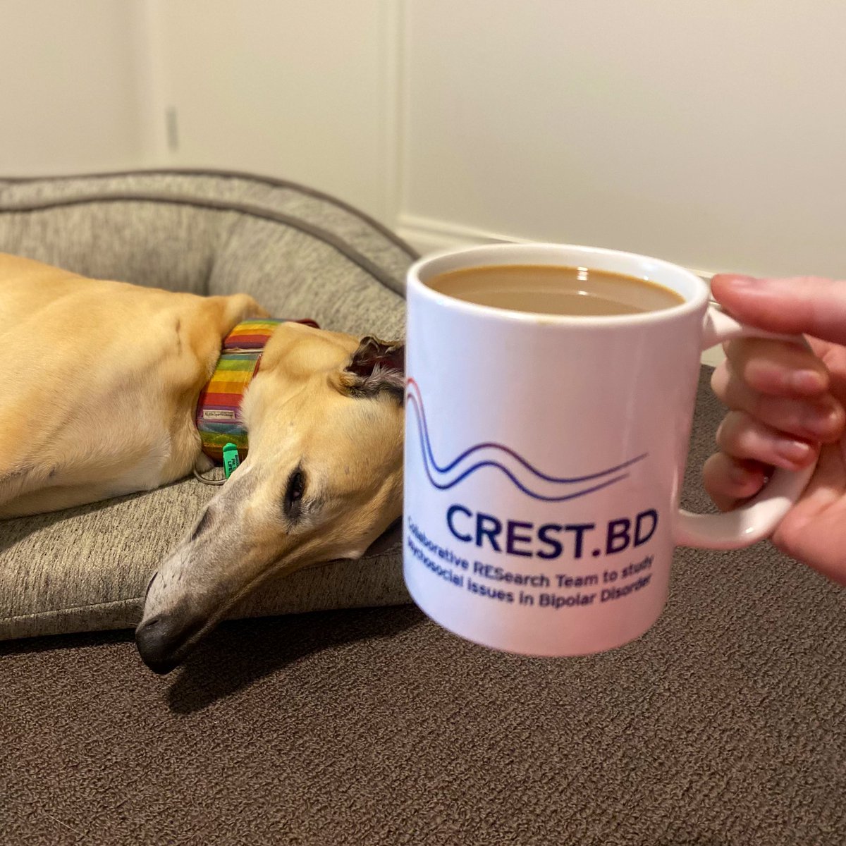 It’s been a busy day answering your questions about #bipolardisorder on the @CREST_BD Reddit Ask Me Anything thread. I’m taking a caffeine and cuddles break, but the event will be going for 48 hours so keep submitting your questions!