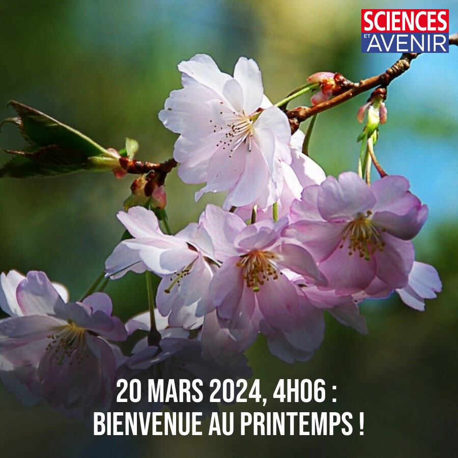 20 mars 2024, 4h06 21s : le Soleil est passé au zénith sur l'équateur terrestre, c'est l'équinoxe. En d'autres termes : nous sommes officiellement au #printemps ! 🌷🌳🐣🎋🐿🐇🌻🌞 👉 l.sciencesetavenir.fr/8oW