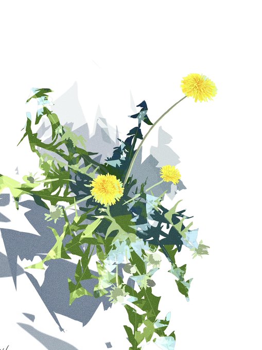 「dandelion」 illustration images(Latest｜RT&Fav:50)