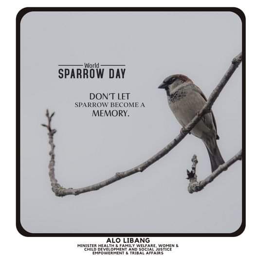 libang_alo's tweet image. The love for all living creatures is the noblest attribute of a soul. Let&apos;s help these little birds live on this World Sparrow Day by planting trees in and around our homes to shelter them.

#SaveEcosystem
#SaveSparrow