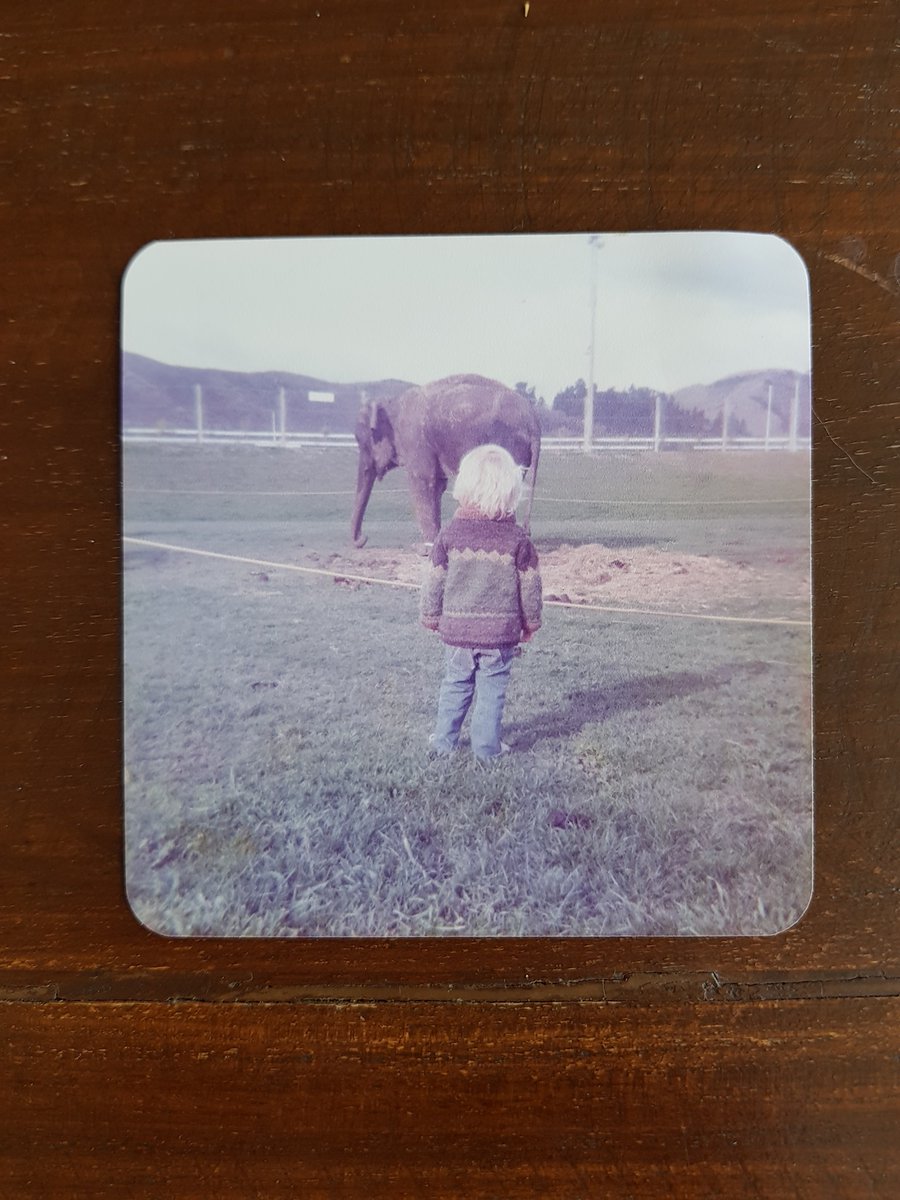 fun render day today redoing, the only photo i like of myself from my childhood in a 3d rendition🤪gkids.co.nz #3D #3dart #3DModel #nftart #nft3d #3dnft #nft #nfts #nftcommunity #nftartist #GKiD #OGKiD #degen 
<a href="/voltz_me/">⚡VOLTZ⚡</a>
<a href="/ImmaDegen/">IMMA DEGEN</a>
<a href="/The_DASK/">The Dead Army Skeleton Klub</a>
<a href="/TheModzKids/">The Modz</a>