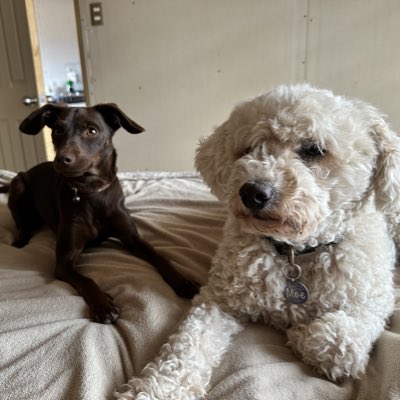 🌼 Ximena 🌼 tweet media