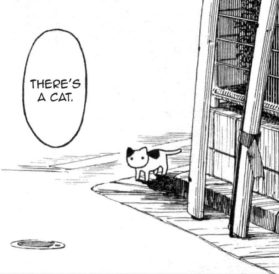 Punch Cat tweet media