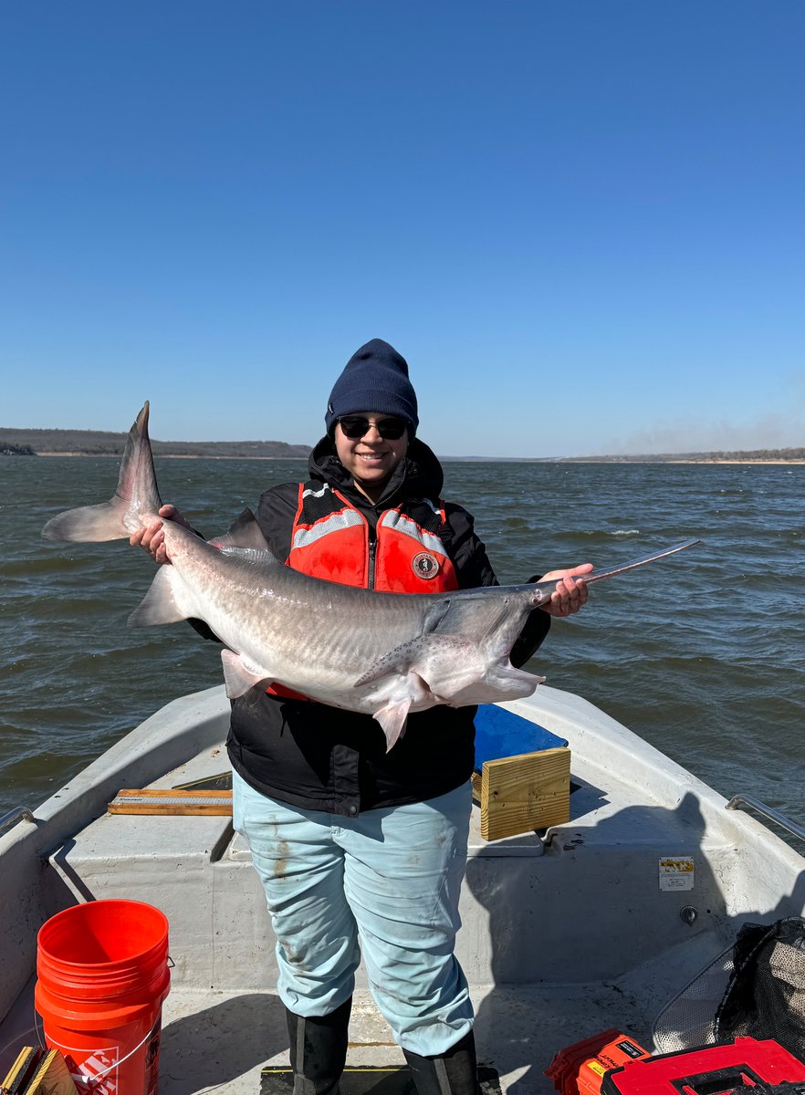 Windy but awesome day on Keystone Lake doing more post-release behavior work on Paddlefish. Big thanks to <a href="/DirtyDog650/">JD Schooley</a> , <a href="/OKWildlifeDept/">Oklahoma Department of Wildlife Conservation</a> for the collaboration opportunities!