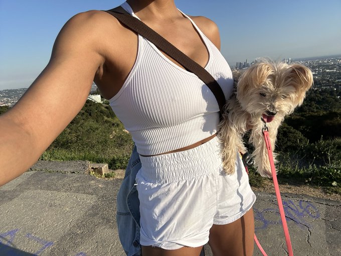 A day with my sweet puppy. https://t.co/ddbU2yxo1U