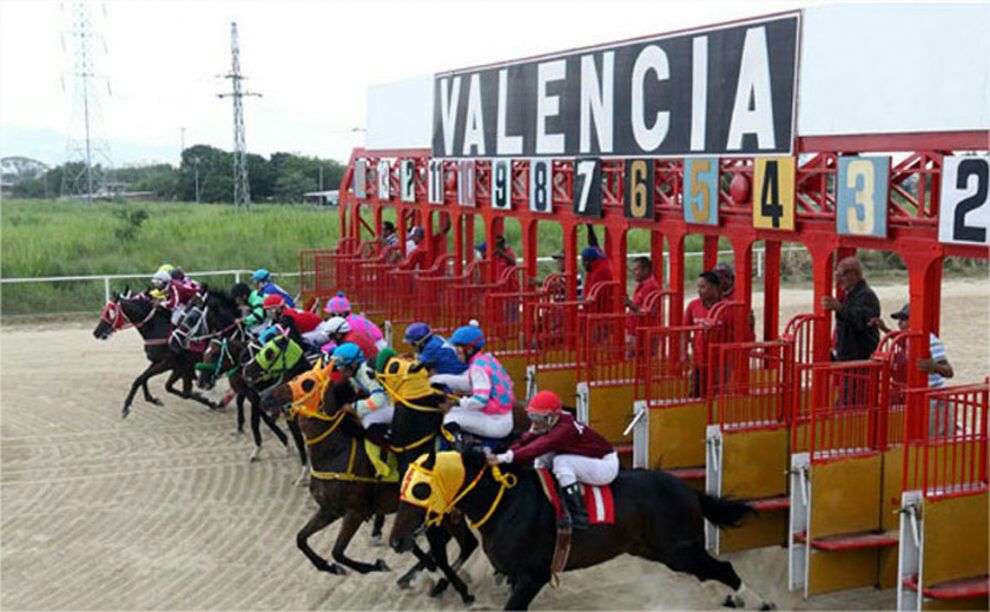 yorman_ybarra's tweet image. (EL FANTASMA HIPICO)
#VALENCIA🏇
#LA RINCONADA🏇
#CUPOS ABIERTOS
#INFORMACIÓN VIP

#MOVIMIENTOS DE OFICINA ORIGINALES
#AUDIO EXPLICATIVO
#PRECISA 
#SUPER FIJO
#EL ESPECIAL
#BUEN DIVIDENDO
 #ACUMULADO  ADELANTADO

Suscribete ya. Via whatsapp
📱+58 414-0207195📱
📱+58 424-2585510📱