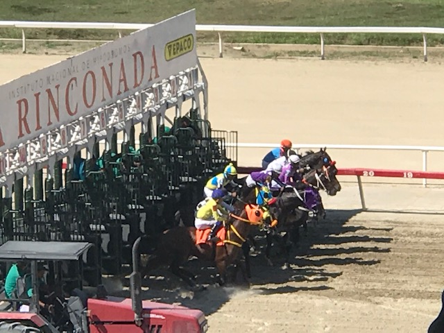 yorman_ybarra's tweet image. (EL FANTASMA HIPICO)
#VALENCIA🏇
#LA RINCONADA🏇
#CUPOS ABIERTOS
#INFORMACIÓN VIP

#MOVIMIENTOS DE OFICINA ORIGINALES
#AUDIO EXPLICATIVO
#PRECISA 
#SUPER FIJO
#EL ESPECIAL
#BUEN DIVIDENDO
 #ACUMULADO  ADELANTADO

Suscribete ya. Via whatsapp
📱+58 414-0207195📱
📱+58 424-2585510📱