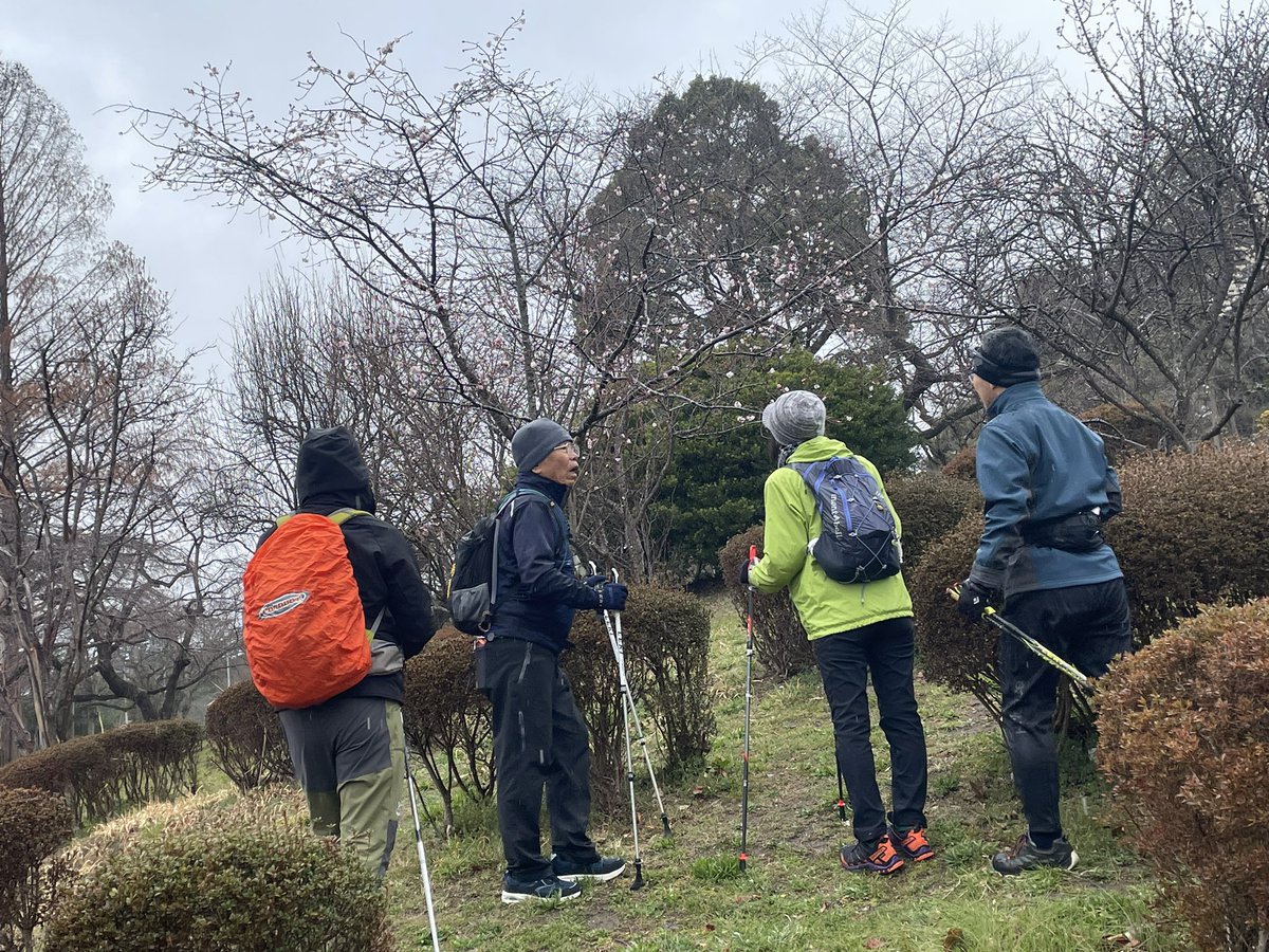 norumatsu's tweet photo. 今日は冷たい雨の降る仙台市榴岡公園。それでも元気よく、みんなでノルディックウォーキングしてきましたー💪
あと10日もしたら、お花見シ��ズンになりそう🌸 https://t.co/UOI0htx4nW