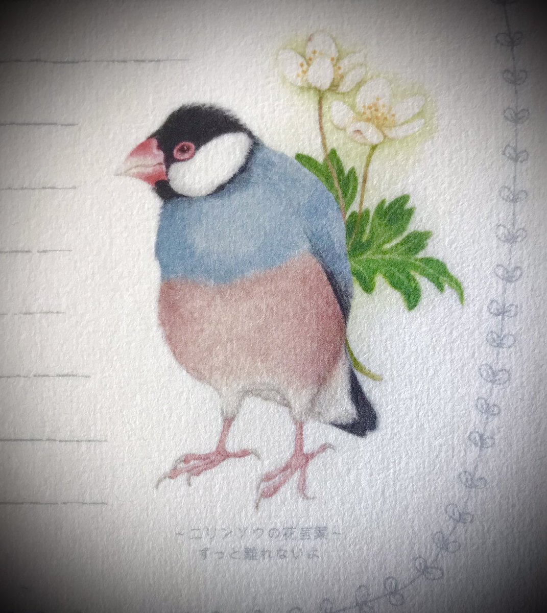 『男前な文鳥』
・・・・・ずっと　離れないよ