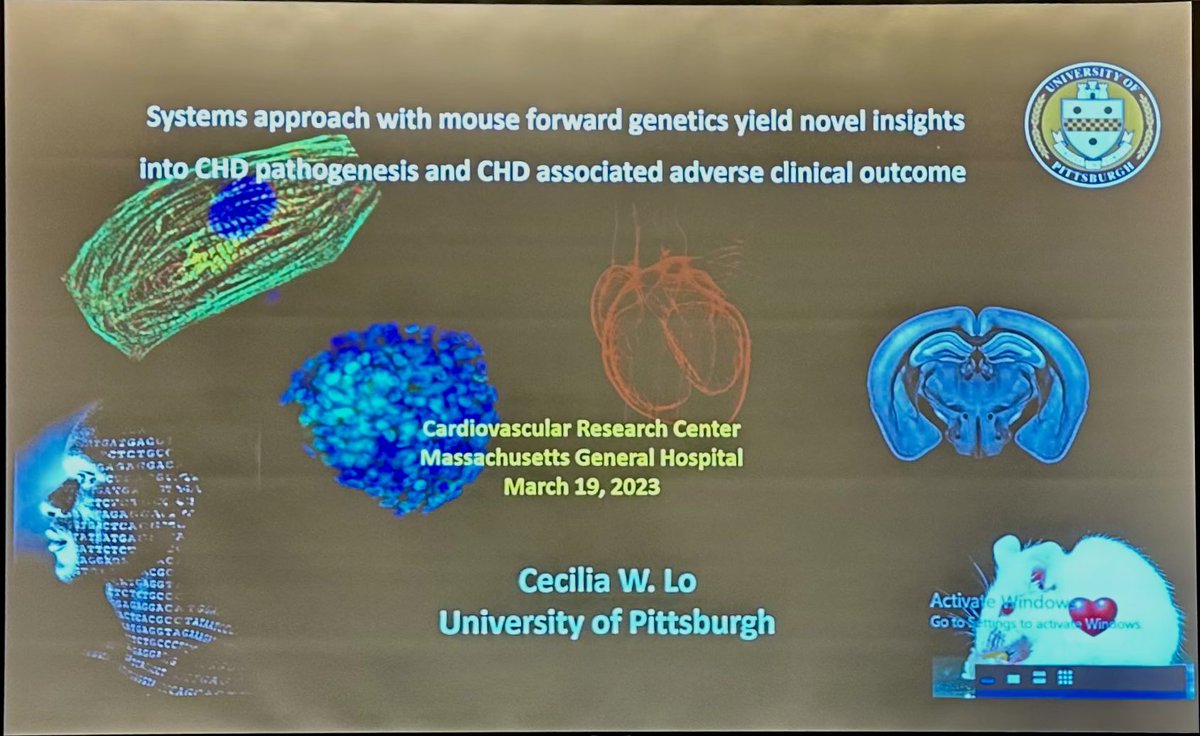 A wonderful presentation and impressive findings from large scale forward genetic screens in mice, and the contribution of ciliary genes to neonatal cardiomyopathy from @UPMC Prof. Cecilia Lo at todays @mghcvrc and @broad CVDi invited seminar. Thanks to @shiaulou for inviting!