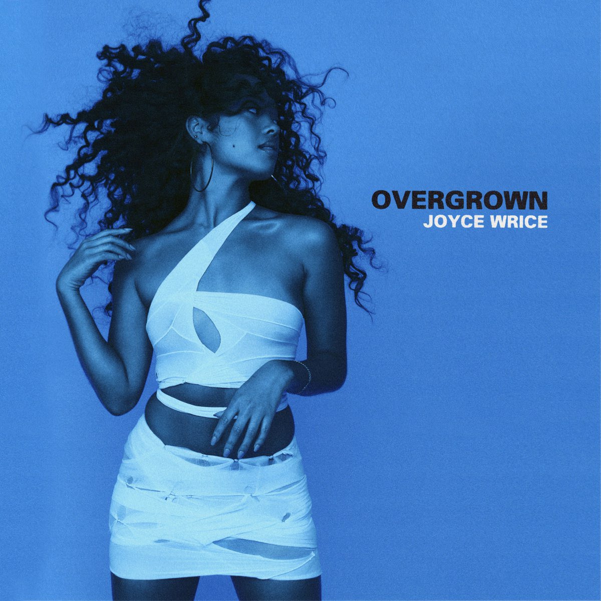 Happy 3rd birthday to Joyce Wrice’s debut album “Overgrown,” released on March 19, 2021! What songs on this album were on your pandemic playlist? #JoyceWrice #Overgrown #Overgrown3 #SoulBounce