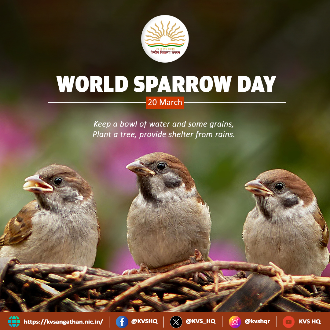Sparrows: Give them a tweet-chance!

Take a moment to appreciate the chirps that add melody to our lives and commit to safeguarding their habitats. Let's pledge to take care of our surroundings and make this world beautiful for all species.

#WorldSparrowDay #ProtectNature #KVS