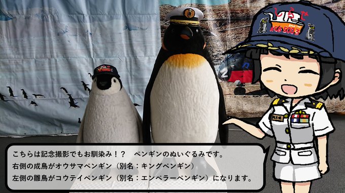 「帽子 ペンギン」のTwitter画像/イラスト(新着)