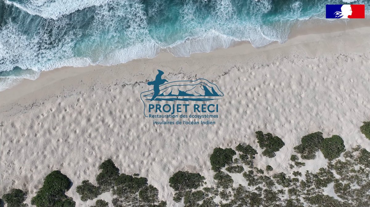 Retour en images sur l’opération de restauration des écosystèmes de l'île Tromelin d'août 2023 ! Cette opération s’inscrit dans le cadre du projet baptisé #RECI piloté par les @TAAFofficiel avec le soutien de l’Union européenne et l’@AFD_France➡️ youtu.be/0a39Q-OoCU8