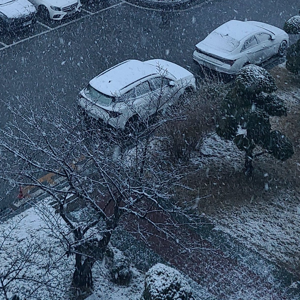 H_Duck0716's tweet photo. 창구야, 여긴 지금 눈이 엄청 왔어🌨 https://t.co/1QVUEhW6Iz