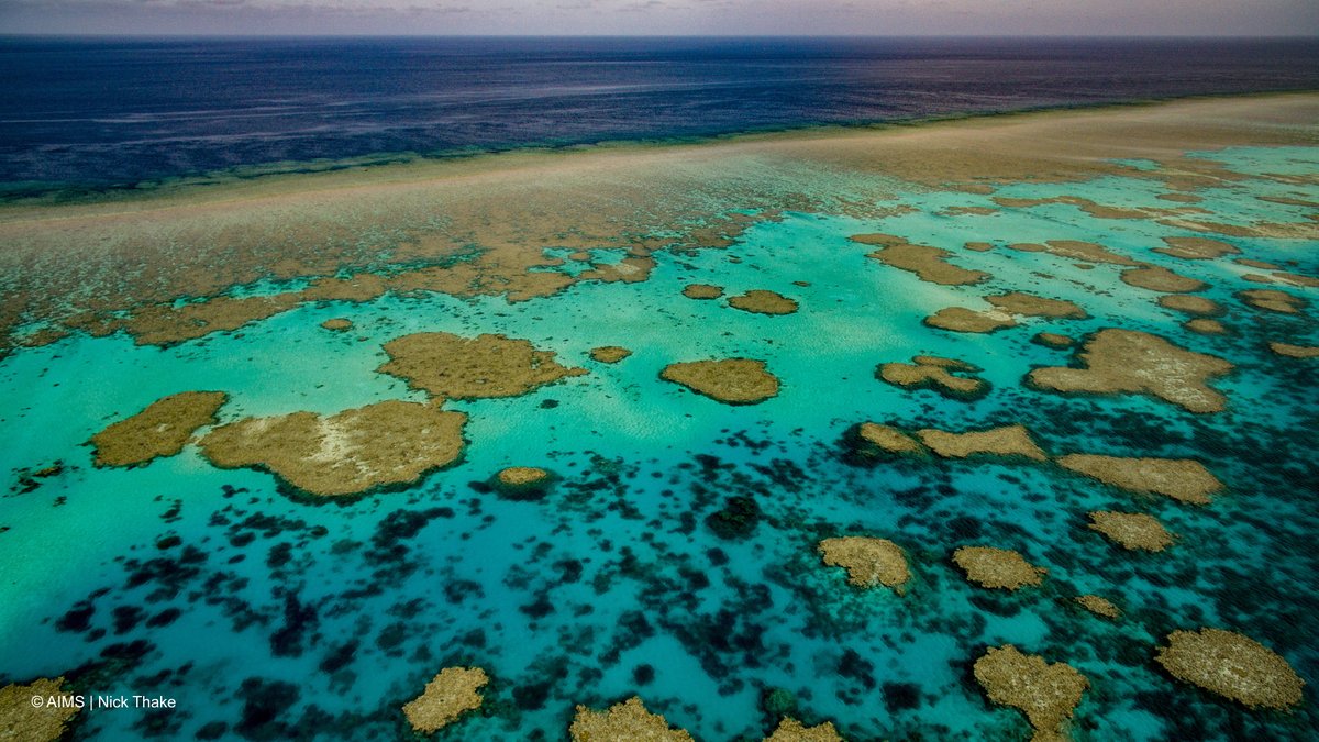 We are hiring a Molecular Ecology Lab Technician. 

Come join us in beautiful Western Australia and work with a dynamic team across a range of exciting projects. #metabarcoding, #WGS, #RNAseq

 aims.gov.au/about/careers-…