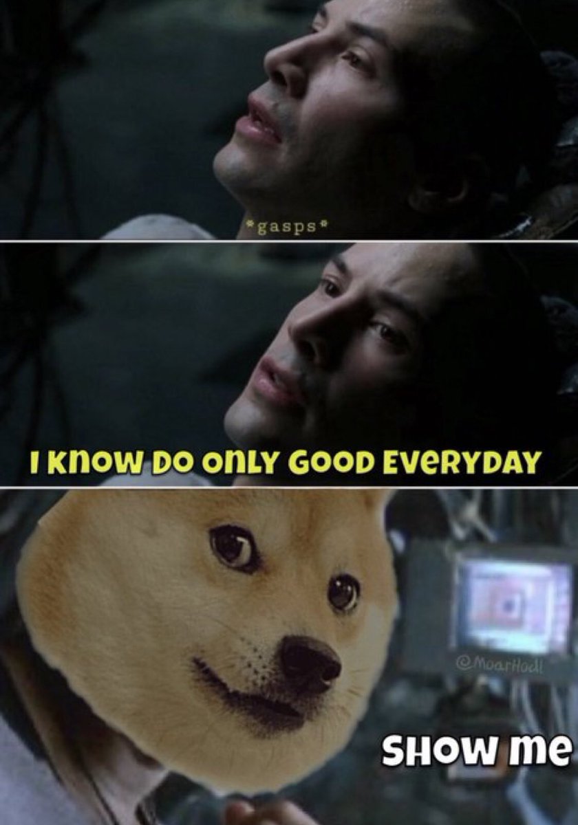 DOGEBOY001's tweet photo. @Dogevanjava #dogetipping https://t.co/ZiVDKQqhnr