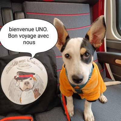 #NouvellePhotoDeProfil