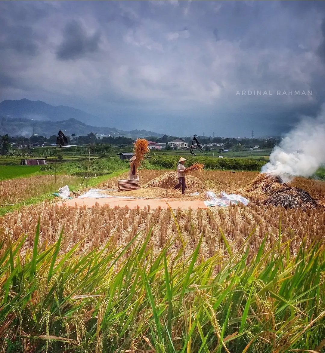 Darul Qarar Minangkabau tweet media